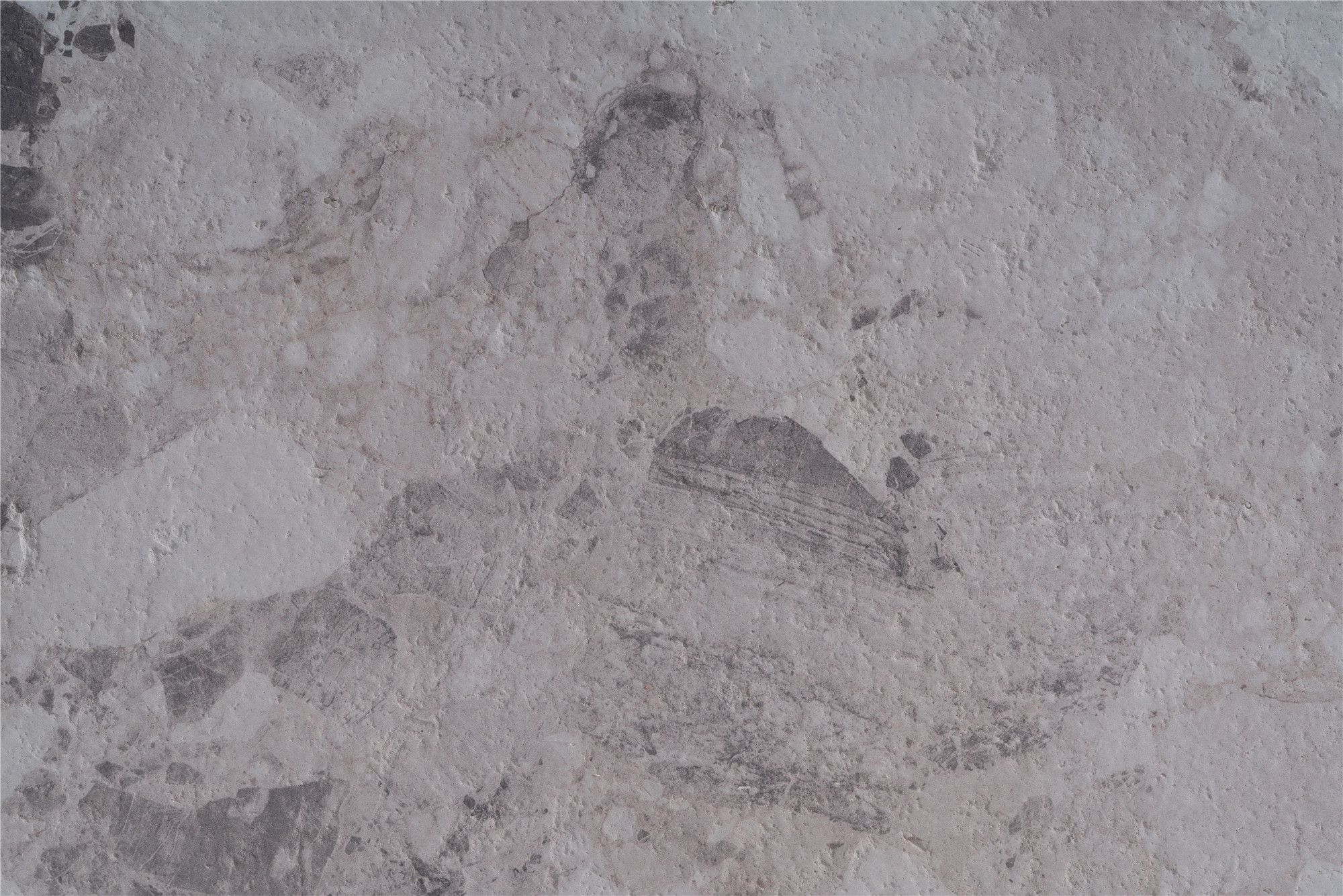 Yulong Limestone-御龙石灰岩-1